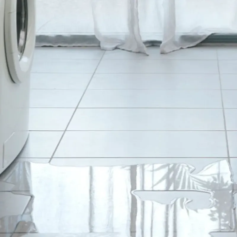 Appliance Leak Cleanup in Turner, OR