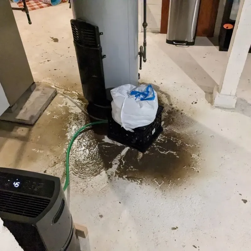 Sewage Backup Cleanup Service in Turner, OR
